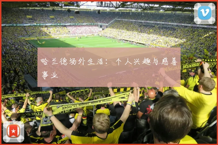 哈兰德场外生活：个人兴趣与慈善事业